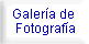Photo Gallery & News