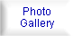 Photo Gallery & News