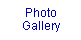 Photo Gallery & News